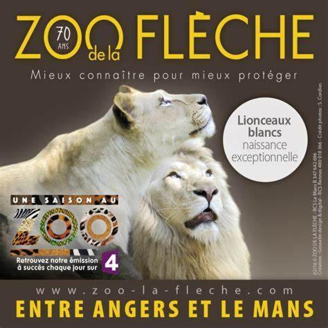 Gite Du Fil, Le Lude Esterno foto